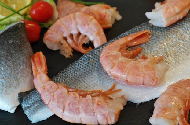 20190416_Sortiment_Fisch