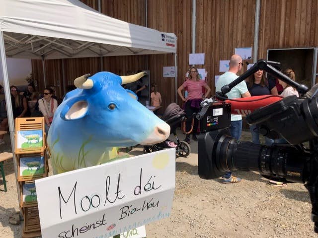 Malt die schönste Bio Kuh