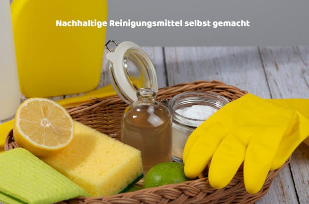 Nachhaltige Reiningsmittell slebst gemacht