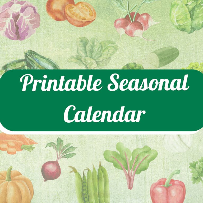 Printable Seasonal Calendar 1600 x 1058 mm