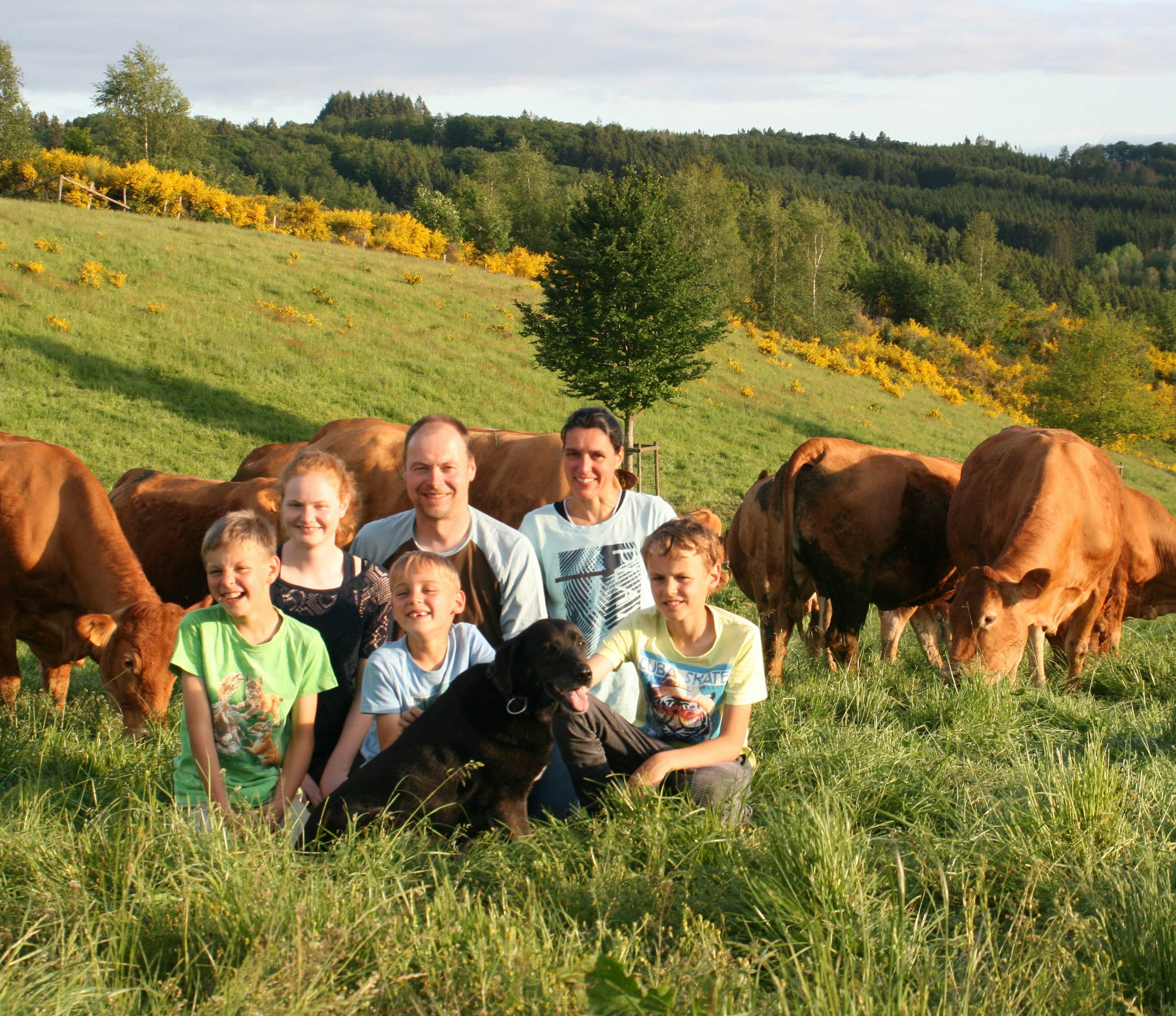 Schaus Colbach Banner
