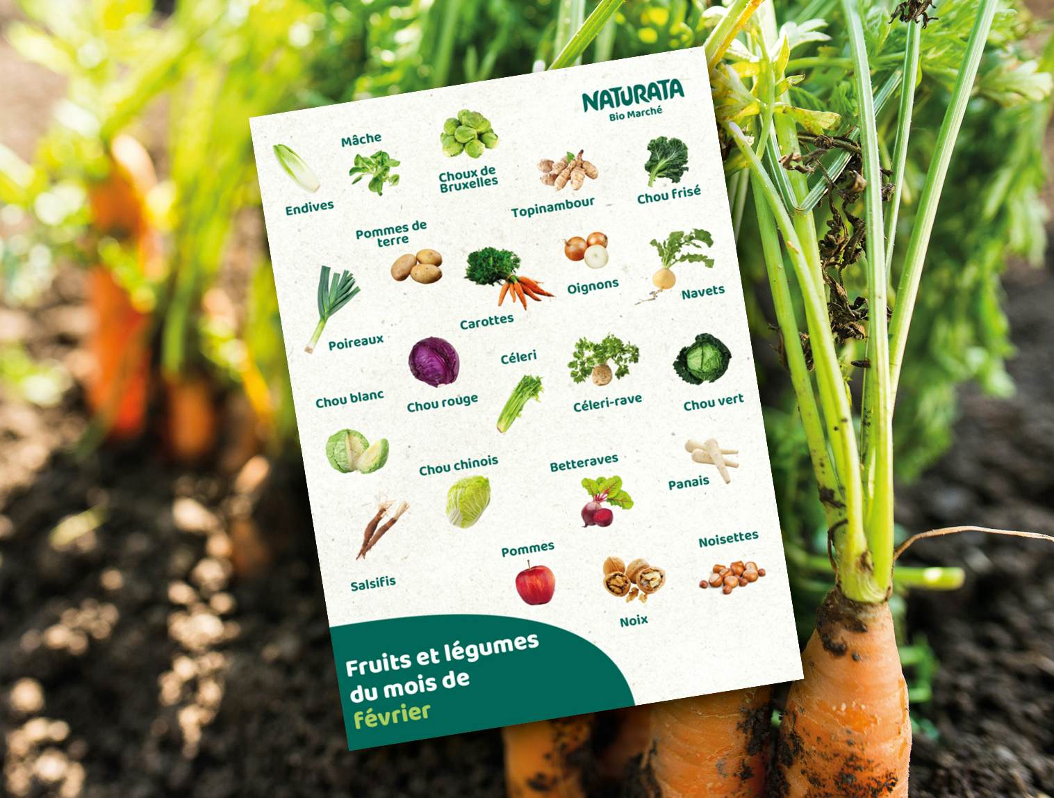 Saisonkalaender feb2025 FR 1