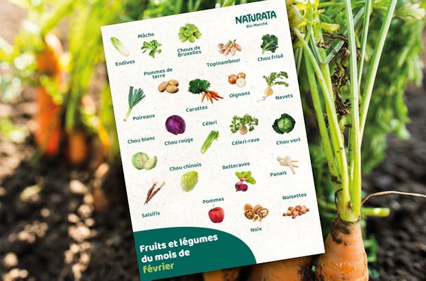 Saisonkalaender feb2025 FR 1