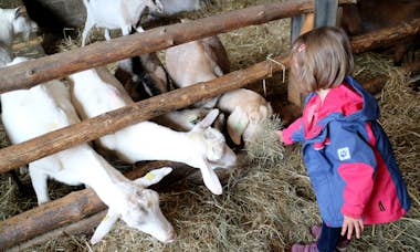 20190416_Baltes_Kind_Ziege_Gallery