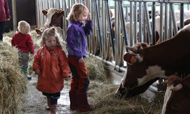 20190416_Kinder_Kühe_Gallery