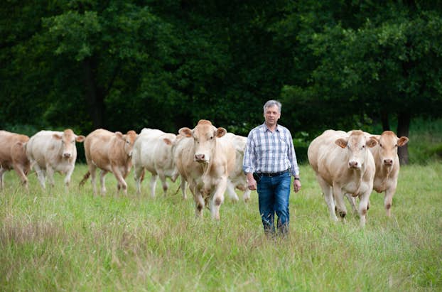 20190621_Linden Wirth