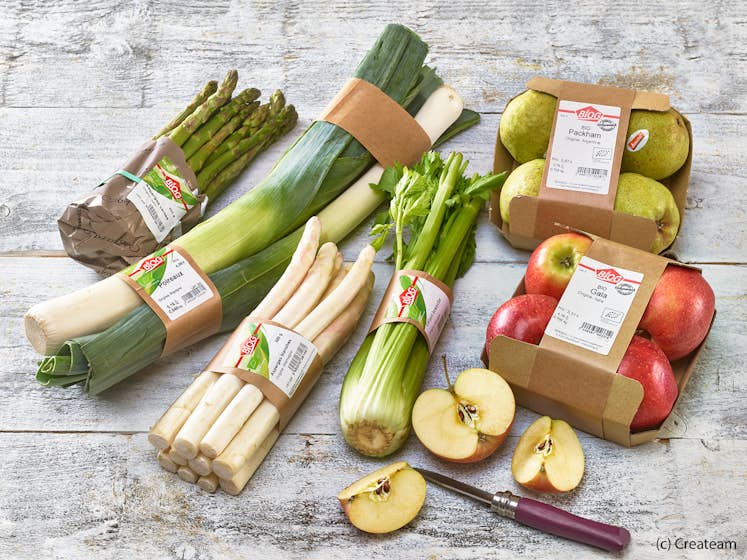 20190912 Cactus BIOG Banderole