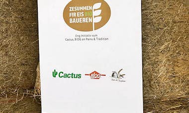 2019Zesummen Brotaktion Gal3