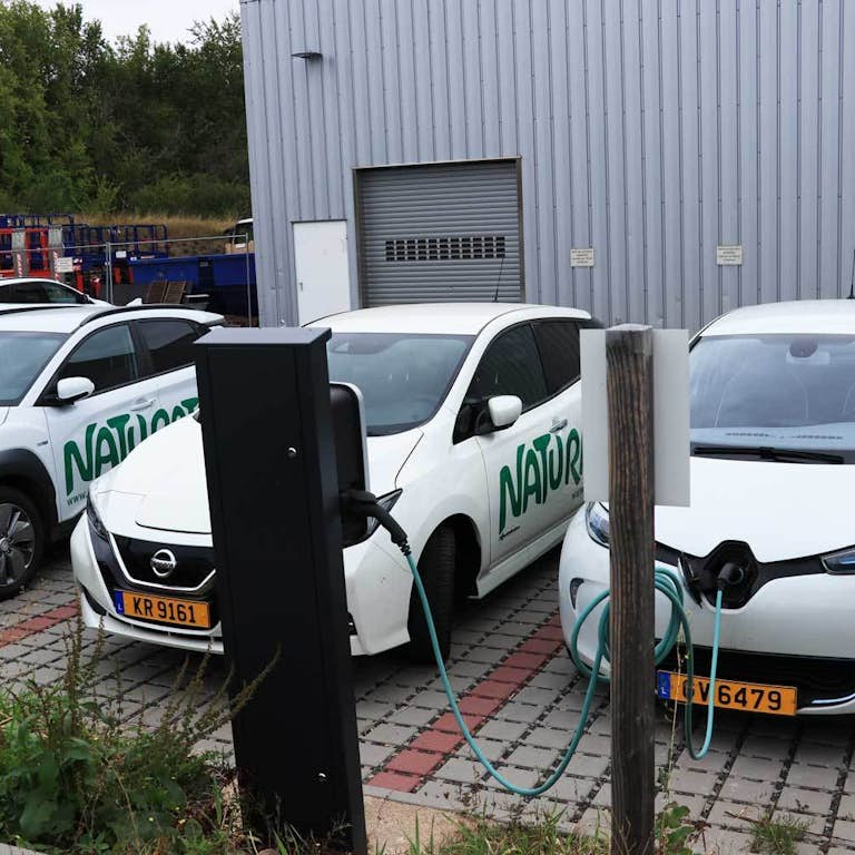 2020 Elektro Autos vorne WEB