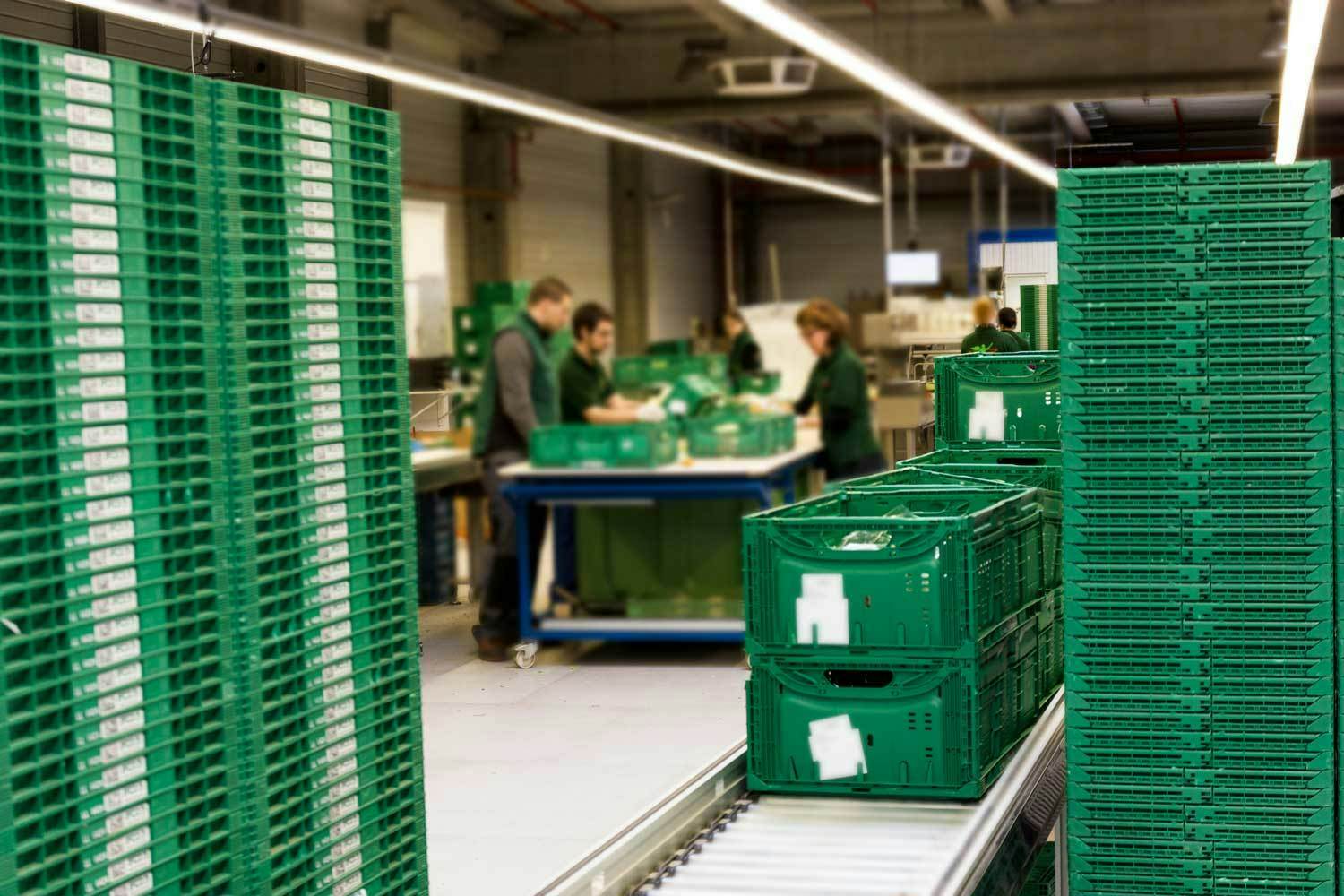 Biogros Eco Kistee WEB