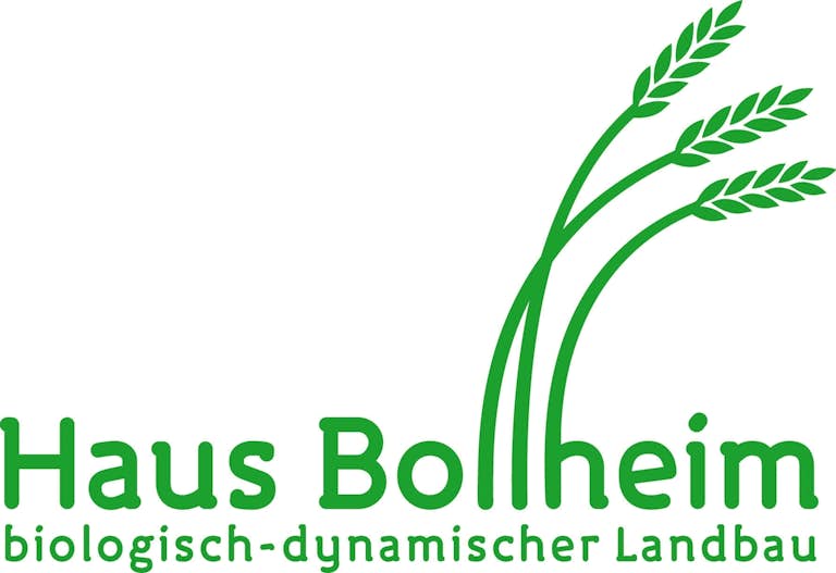 Haus-Bollheim-Logo_HB_300dpi5