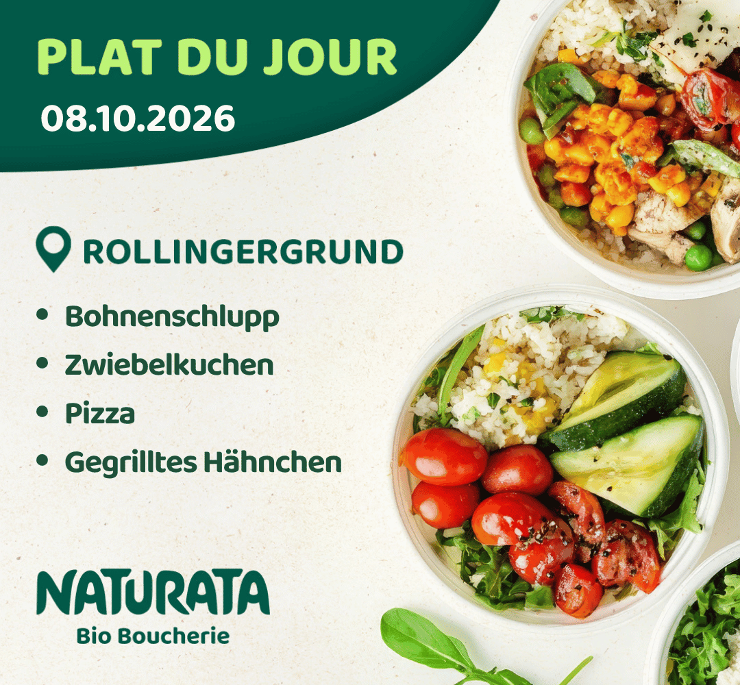 News Rolli 08 10