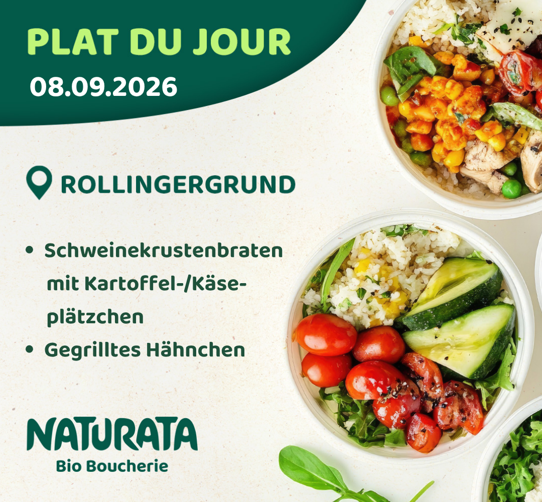 News Rolli 08 09