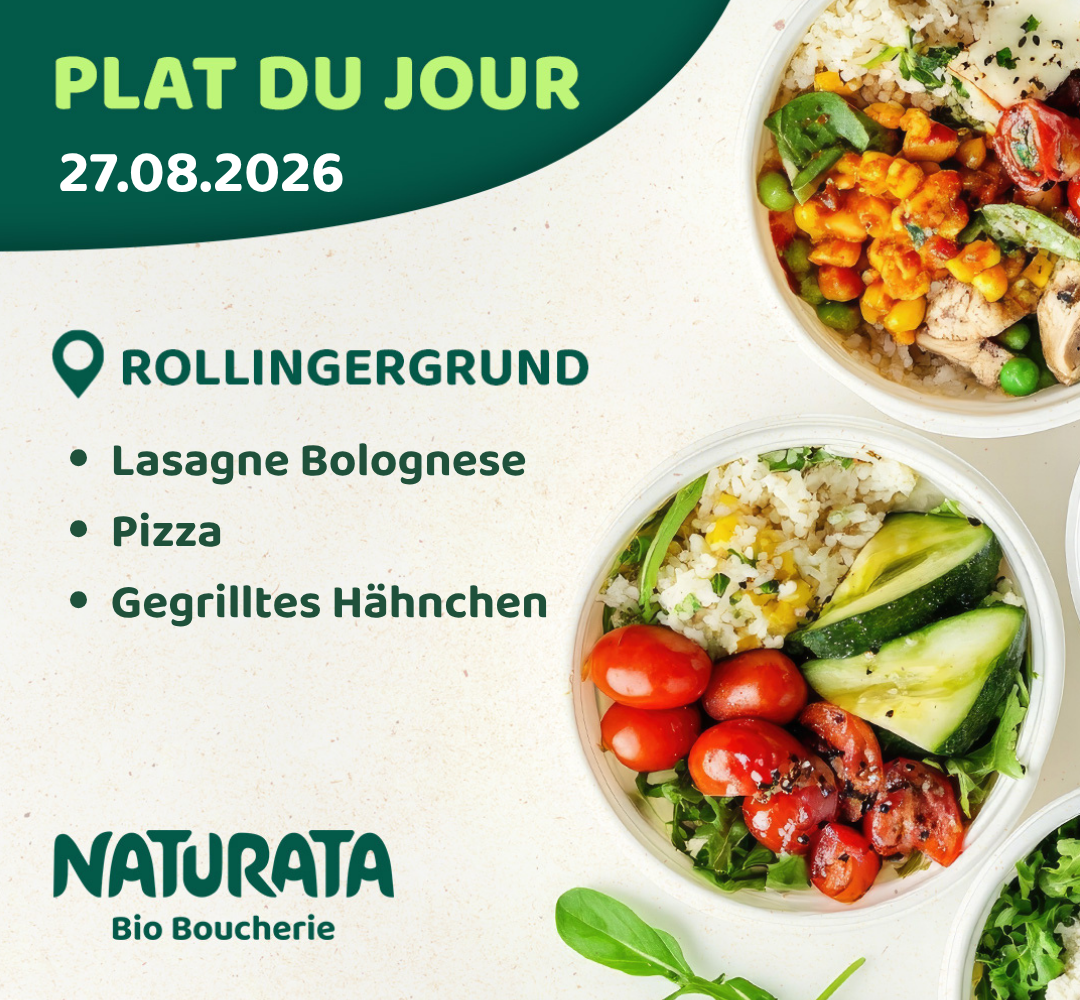News Rolli 27 08