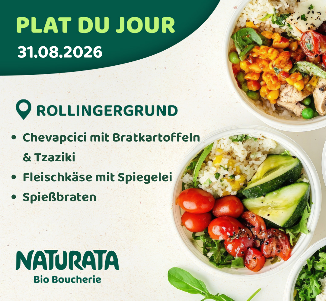 News Rolli 31 08