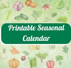 Printable Seasonal Calendar