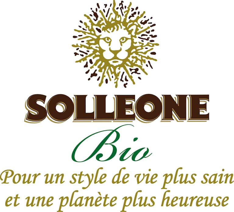 SOLLEONE-Logo