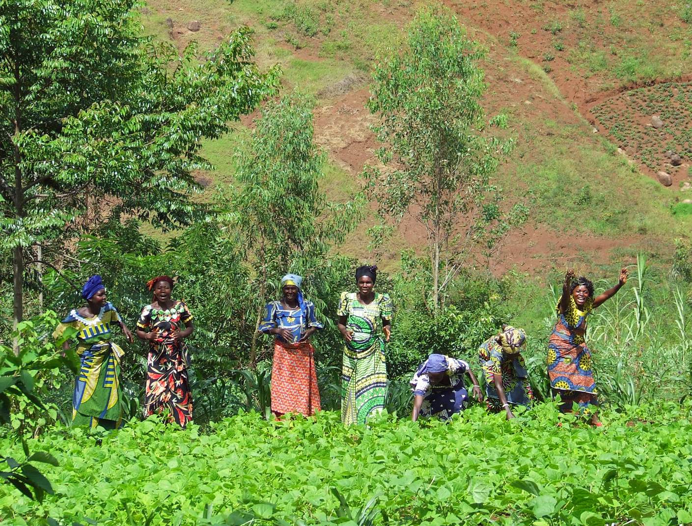 SO Sfaim2019 actu2 Frauen Feld