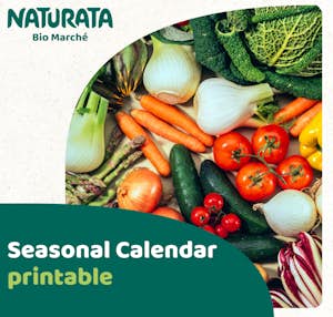 Saisonkalender zum Ausdrucken News EN