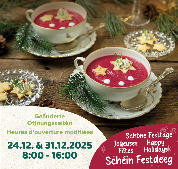 Screenshot 2025 12 19 105750