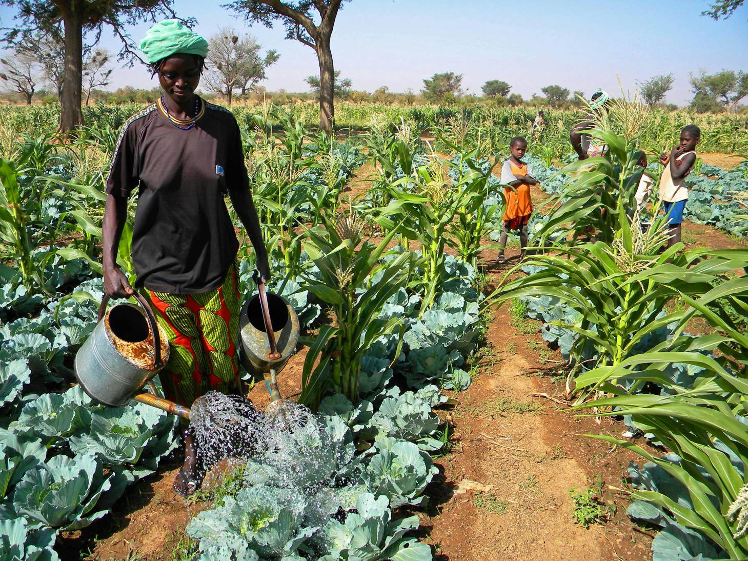 Spendenaktion2019 actu1